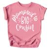 Promoted to Big Cousin T-Shirts for Toddler Girls Fun Family Outfits Mauve Shirt view 1