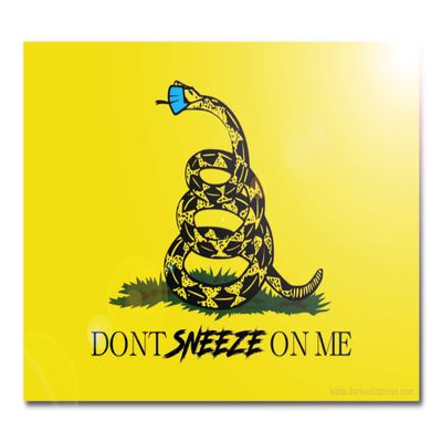 Don't Sneeze On Me - Virus Edition Gadsden Flag Funny Car Sticker