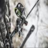 Tactic Hybrid, 3 Pin, 0.019" Fibers view 3