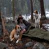 1844 Helko Werk Handmade Waxed Canvas Cowboy Bedroll - Camp Bed Roll w Leather Straps & Zipper-Waterproof-Sleeping Bag (Bedroll Forest Green) #F8761FG view 4