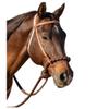 Professional's Choice Loping Hackamore, Color: Oak (8168HL) view 1