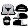Mitchell & Ness Chicago Bulls JORDAN DAY ONE Snapback NBA Hat - Heather Gray/Black view 1