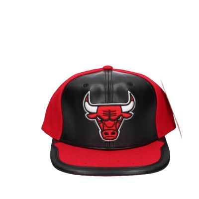 Day One Snapback Chicago Bulls