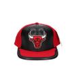 Day One Snapback Chicago Bulls view 1