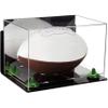 Football Display Case, Durable Clear Display Case with Mirror & Clear Base, Wall Mounted Case for Full Size Footballs, Sports Memorabilia, Collectibles, Keepsakes, Autographed Balls Items (A004-GRR) view 1
