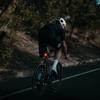 Knog Blinder Rear Skull Light Adult Unisex, Black, One Size view 4