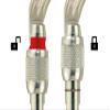Petzl Vulcan Carabiner - Screw-Lock, Gold view 3