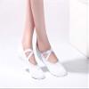missfiona Women Canvas Ballet Slippers Dance Shoes Adult Practice Yoga Flat Belly Shoes(6, White Band) view 2
