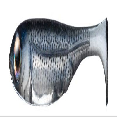 Fish Arrow Flash J Shad 1" SW #105 Sardine/Silver