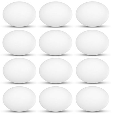 Tiger Tail Sports Recreational-Quality (1-Star, 40mm) Ping Pong Balls (White, 12-Pack)