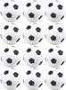 Tiger Tail Sports Recreational-Quality (1-Star, 40mm) Ping Pong Balls (Soccer, 12-Pack) view 1