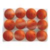 Champro 9" Brute Poly Ball - Bulk, Dozen (12) view 1