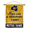 Irish Banner with Hanging Pole view 1