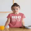 Big Sister Shirt Big Sister Announcement Toddler Shirts Promoted to Girls Outfit (White on Mauve, 6 Years) view 3