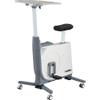 Lorell, LLR99531, Exercise Bike, 1, Gray/White view 1