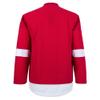 EALER H900 Series Ice Hockey League Team Color Blank Practice Jersey & Thick, Breathable and Quick-Dry High Strength Fabric&Unisex Junior to Senior view 2