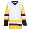 EALER H900 Series Ice Hockey League Team Color Blank Practice Jersey & Thick, Breathable and Quick-Dry High Strength Fabric&Unisex Junior to Senior view 1