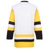 EALER H900 Series Ice Hockey League Team Color Blank Practice Jersey & Thick, Breathable and Quick-Dry High Strength Fabric&Unisex Junior to Senior view 2