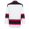 EALER H900 Series Ice Hockey League Team Color Blank Practice Jersey & Thick, Breathable and Quick-Dry High Strength Fabric&Unisex Junior to Senior view 2