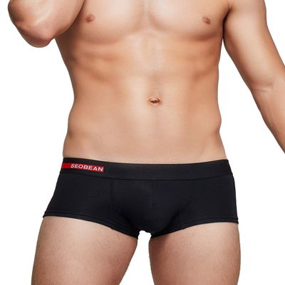 SEOBEAN Mens Low Rise Side Line Boxer Brief Nano Underwear (00204 Black, XXL(36-38"))
