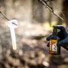 Wildlife Research Center X-tra Concentrated Earth Masking Scent view 4