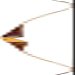Bear Archery Kodiak 60" Satin (Special) LH 40 Maple/Bolivian Rosewood