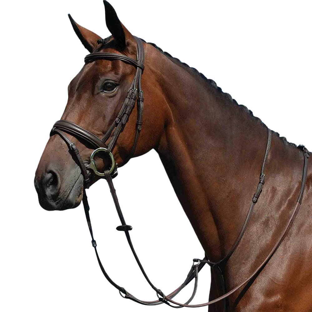 Collegiate Syntovia+ Plain Flat Running Martingale, Brown, Warmblood
