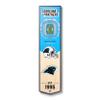 NFL Carolina Panthers Bank of America Stadium 3D Stadium Banner-8x323D Stadium Banner - 8"x 32", Team Colors, 8" x 32" view 1
