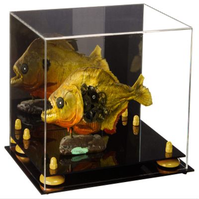 Better Display Cases Versatile Acrylic Display Case - Medium Rectangle Box with Mirror and Yellow Risers 12" x 8.25" x 8" (A004-YR)