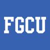 AH01 - FGCU Eagles Basic Block Hoodie - 2X-Large - Royal view 3