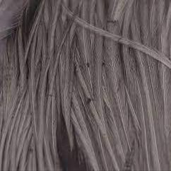 Hareline Half Cape (Lt. Dun)