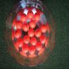 A99Golf Floating Balls Floater Practice aid Water Golf Range Water Pool Pond Fun with Golf (Orange 12pcs) view 1
