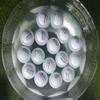 A99Golf Floating Golf Balls with Carry Bag  Water Practice Floater Balls for Pool, Pond & Water Range (White 12pcs) view 1