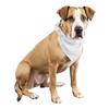 4 Pcs Plain Cotton Pets Dogs Bandana Triangle Shape - Large & Washable (White) view 1