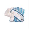 SG RSD Xtreme Wicket Keeping Gloves | Color May Vary | Mens Size | Leather | Men | Ultra Soft Leather | High Flexibility | PP Sheet for Grip | Heavy Duty Palm Protection | Professional Quality view 1