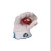 SG RSD Xtreme Wicket Keeping Gloves | Color May Vary | Mens Size | Leather | Men | Ultra Soft Leather | High Flexibility | PP Sheet for Grip | Heavy Duty Palm Protection | Professional Quality view 4