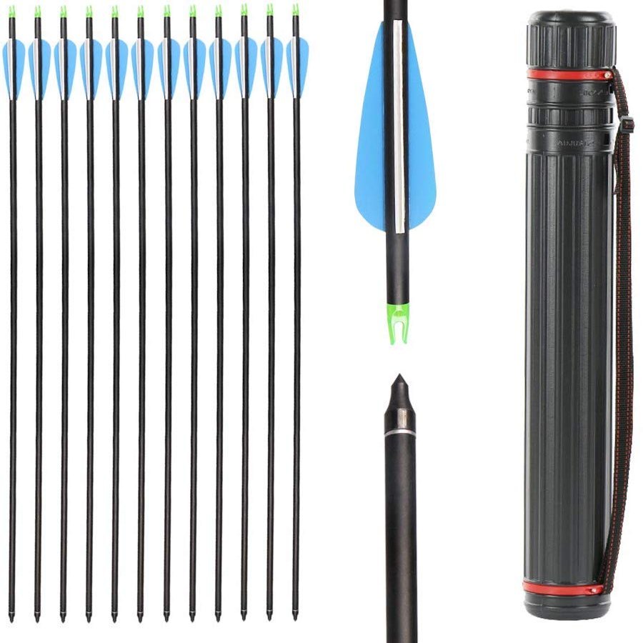 IRQ 31 Inch Carbon Arrow Quiver Set Spine 400 for Compound Recurve Long Bows Target Practice and Hunting Arrows, 12 Pack Carbon Fiber Arrow Plus 1 Quiver