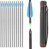 IRQ 31 Inch Carbon Arrow Quiver Set Spine 400 for Compound Recurve Long Bows Target Practice and Hunting Arrows, 12 Pack Carbon Fiber Arrow Plus 1 Quiver view 1