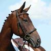 Collegiate Syntovia+ Padded Raised Cavesson Bridle, Brown, Full view 1