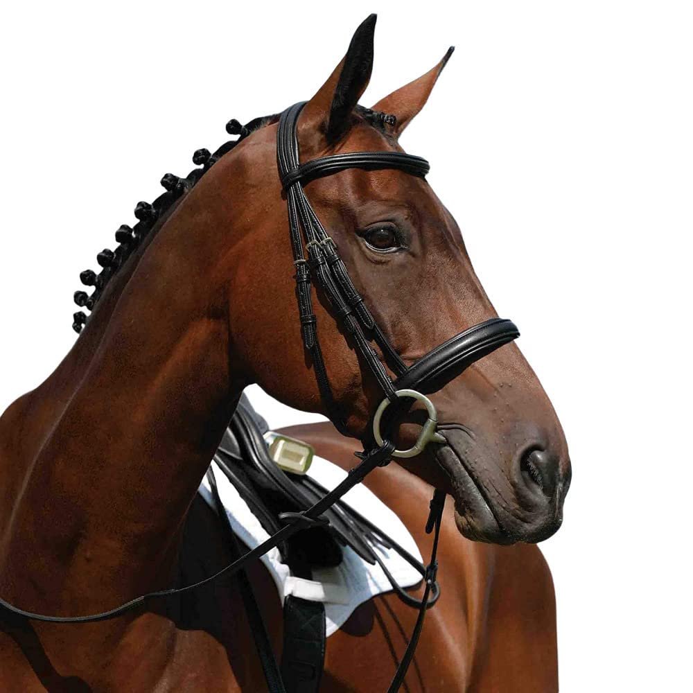 Collegiate Syntovia+ Padded Raised Cavesson Bridle, Black, Full