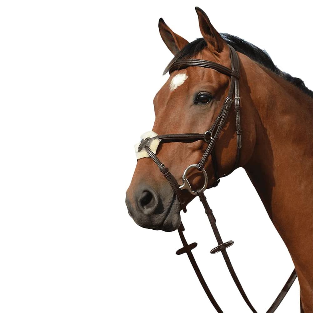 Collegiate Syntovia+ Padded Raised Figure 8 Bridle, Brown, Cob