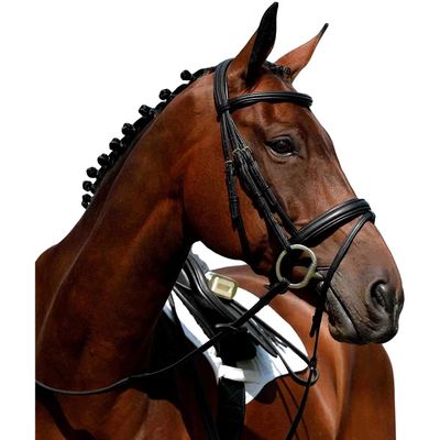 Collegiate Syntovia+ Padded Raised Flash Bridle, Brown, Full