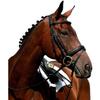 Collegiate Syntovia+ Padded Raised Flash Bridle, Brown, Full view 1