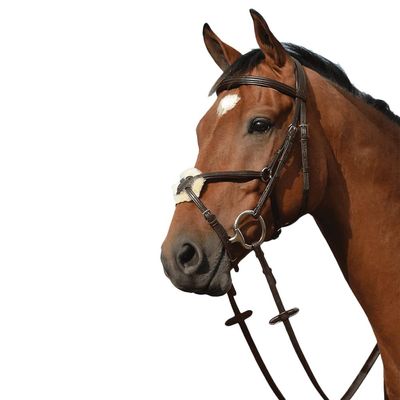 Collegiate Syntovia+ Padded Raised Figure 8 Bridle, Brown, Pony