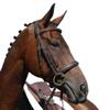 Collegiate Syntovia+ Padded Raised Cavesson Bridle, Black, Pony view 2