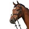 Collegiate Syntovia+ Padded Raised Figure 8 Bridle, Black, Pony view 1