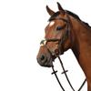 Collegiate Syntovia+ Padded Raised Figure 8 Bridle, Black, Pony view 2