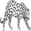 10" x 20" Big Cat Animal Decor Design | Cheetah Cougar Panther Jaguar Leopard Vinyl Wall Art Decoration | DIY Stick and Peel Animal Bedroom Living Room Adhesive Decal Sticker view 1