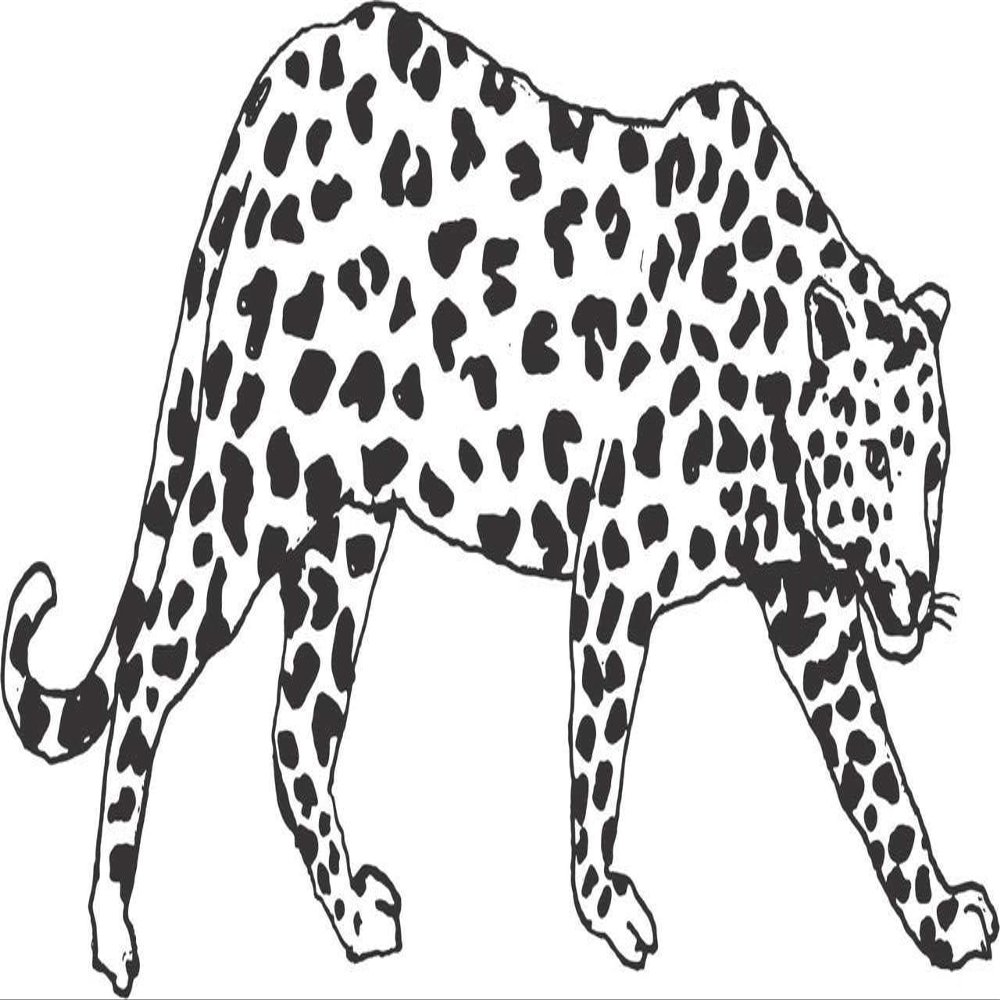 22" x 36" Big Cat Animal Decor Design | Cheetah Cougar Panther Jaguar Leopard Vinyl Wall Art Decoration | DIY Stick and Peel Animal Bedroom Living Room Adhesive Decal Sticker