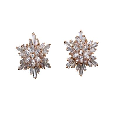 Faship Gorgeous Clear CZ Crystal Floral Snowflake Cluster Pierced Clip Earrings